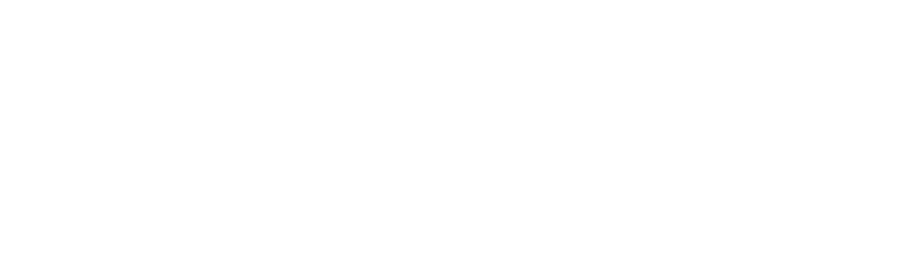 Syfer Group logo